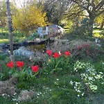 La Bergeronnette Avec La Chaleur Du Feu De Bois Et Le Jardin