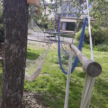 La Bergeronnette Avec La Chaleur Du Feu De Bois Et Le Jardin