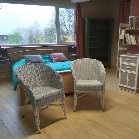 La Bergeronnette Avec La Chaleur Du Feu De Bois Et Le Jardin * ディナン