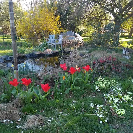 La Bergeronnette Avec La Chaleur Du Feu De Bois Et Le Jardin