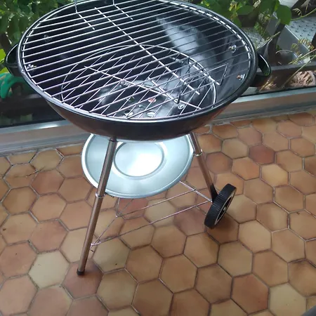 La Bergeronnette Avec La Chaleur Du Feu De Bois Et Le Jardin *
