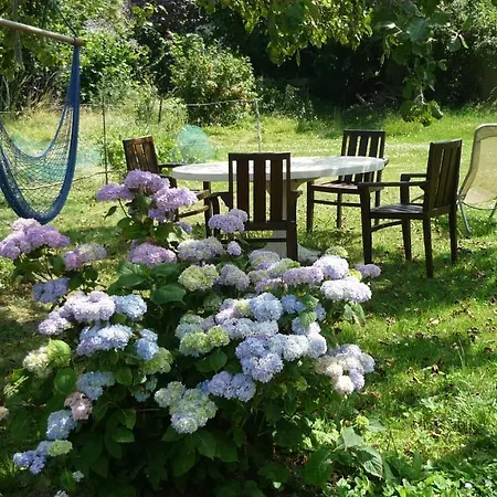 La Bergeronnette Avec La Chaleur Du Feu De Bois Et Le Jardin *