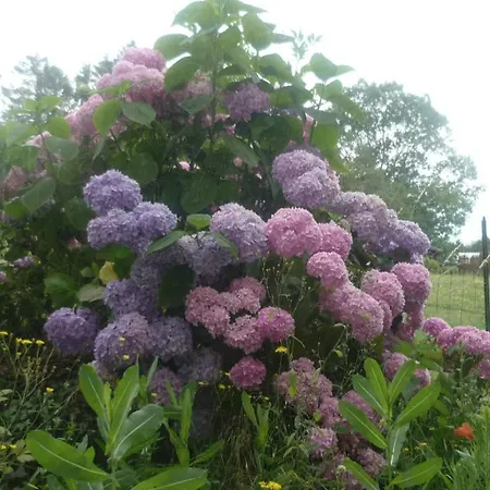 Holiday home La Bergeronnette Avec La Chaleur Du Feu De Bois Et Le Jardin