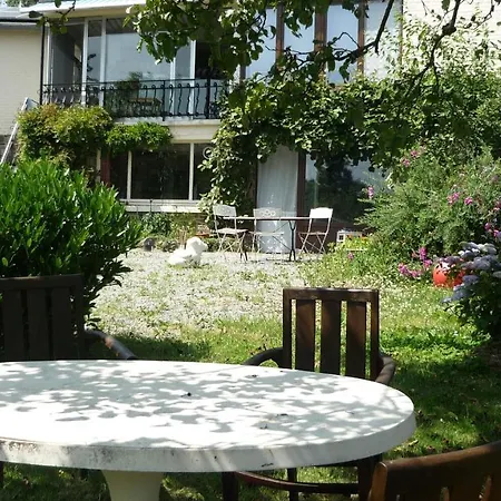 La Bergeronnette Avec La Chaleur Du Feu De Bois Et Le Jardin Dinant
